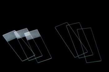 Microscope Slide : Clear Glass Ground Edges - 3" x 1" x 1mm - 1.2mm (72pcs/pk) : Via Med